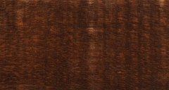 Dryden® Colourtone+ for 10L: Black Teak - 500ml