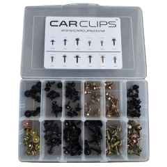 Carclips® Bolts Kit - Case of 120 Bolts