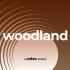 Cotec Woodland Waterbased Oil Stain: Clear - 4L