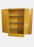 JAGBE Flammable Cabinet: 250L - Each