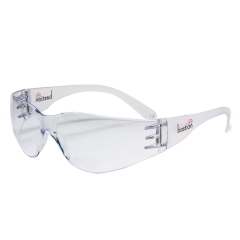 Bastion Safety Glasses: Clear - Each