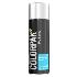 ColorPak Pro Series Wheel Paint: Silver Acryl - Aerosol