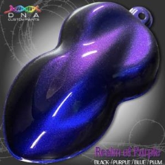 DNA® Custom Aerosols Colour Shift: Realm of Purple - Aerosol